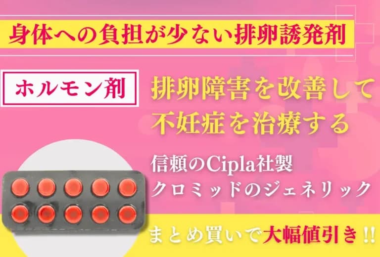 フェルトミッド 5