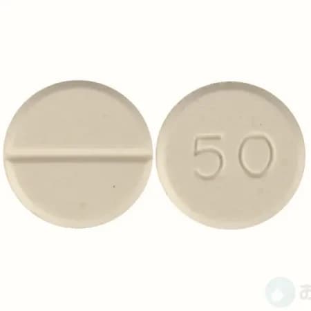 フェルトミッド 2