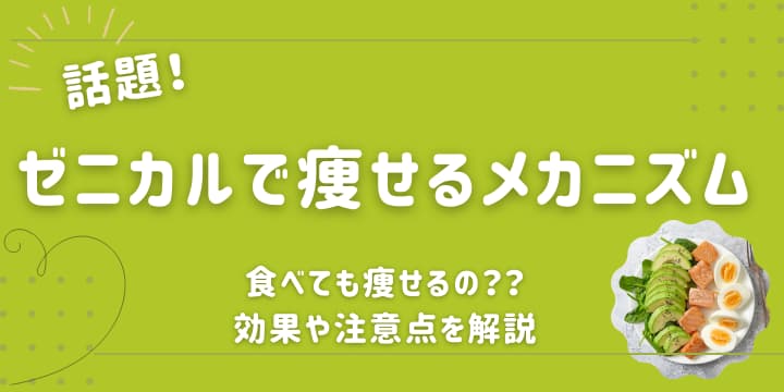 話題！ゼニカルで痩せるメカニズムは？効果や注意点を解説