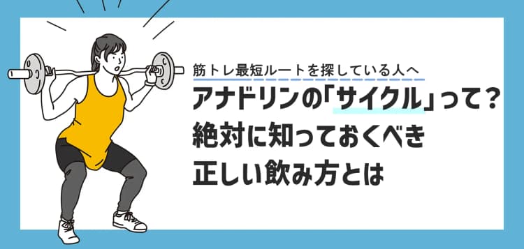 アナドリンのサイクルと正しい飲み方｜初心者の期間・摂取量を徹底解説