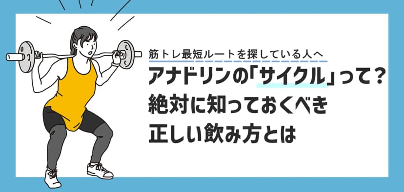 アナドリンのサイクルと正しい飲み方｜初心者の期間・摂取量を徹底解説