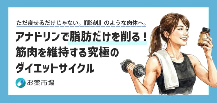 アナドリンで脂肪だけを削る！筋肉を維持する究極のダイエットサイクル