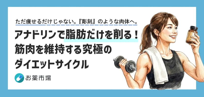 アナドリンで脂肪だけを削る！筋肉を維持する究極のダイエットサイクル