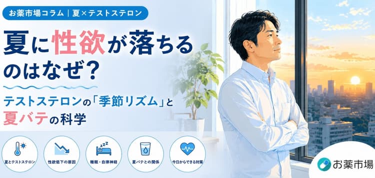夏に性欲が落ちるのはなぜ？テストステロンの「季節リズム」と夏バテの科学