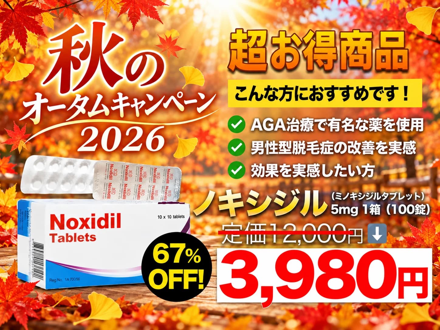 【秋のキャンペーン2026】ノキシジル5mg 1箱 100錠(ミノキシジルタブレット)|通販価格