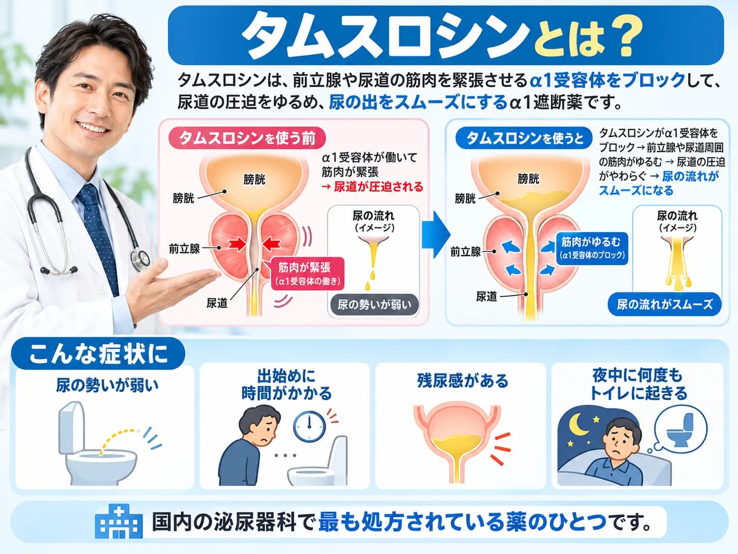 ハルナール(有効成分タムスロシン)|タムスロシン配合の前立腺肥大症・排尿障害改善薬 2