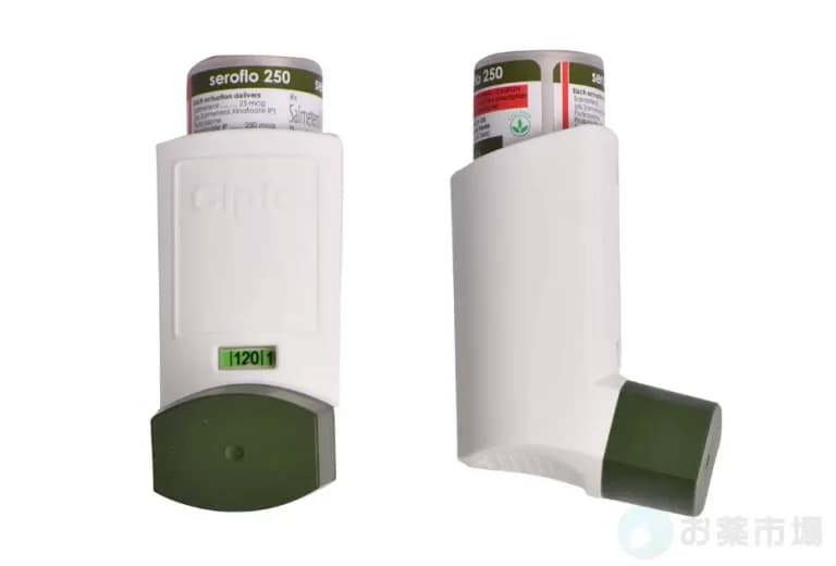 セロフロインヘラー 6