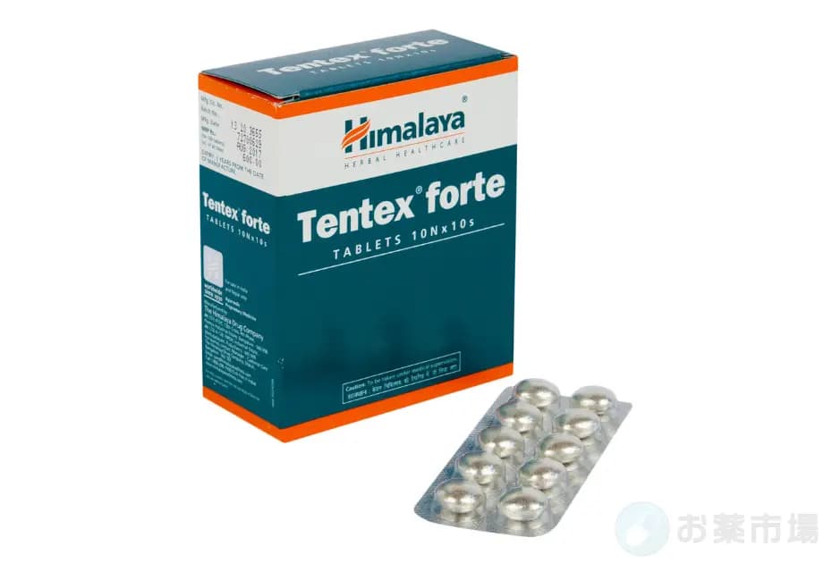 テンテックスフォルテ