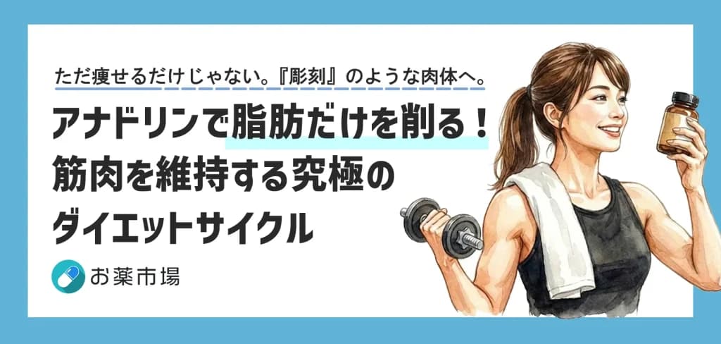 アナドリンで脂肪だけを削る!筋肉を維持する究極のダイエットサイクル